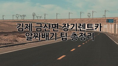 김제 금산면 장기렌트카, 알짜배기 팁 총정리!