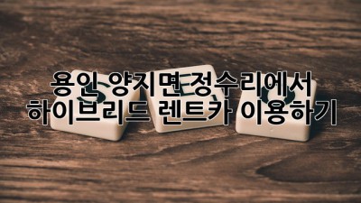 용인 양지면 정수리에서 하이브리드 렌트카 이용하기🚗