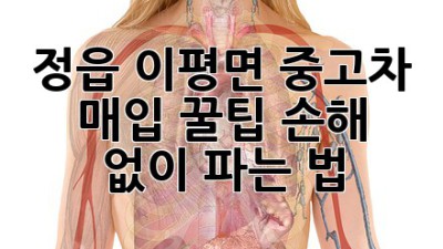 정읍 이평면 중고차 매입 꿀팁🍯: 손해 없이 파는 법!