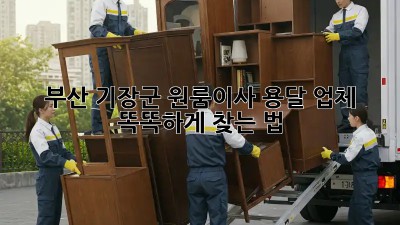 부산 기장군 원룸이사, 용달 업체 똑똑하게 찾는 법 🚚🏡