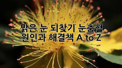 🥺 맑은 눈 되찾기! 눈충혈 원인과 해결책 A to Z ✨